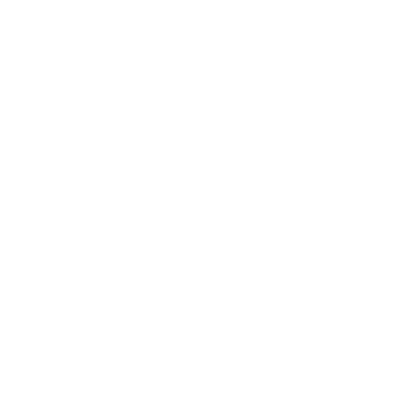 Marke LENZ