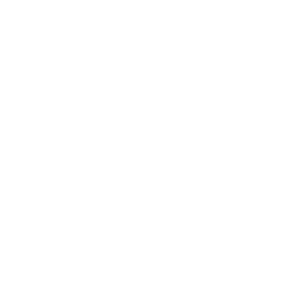 Marke Völkl